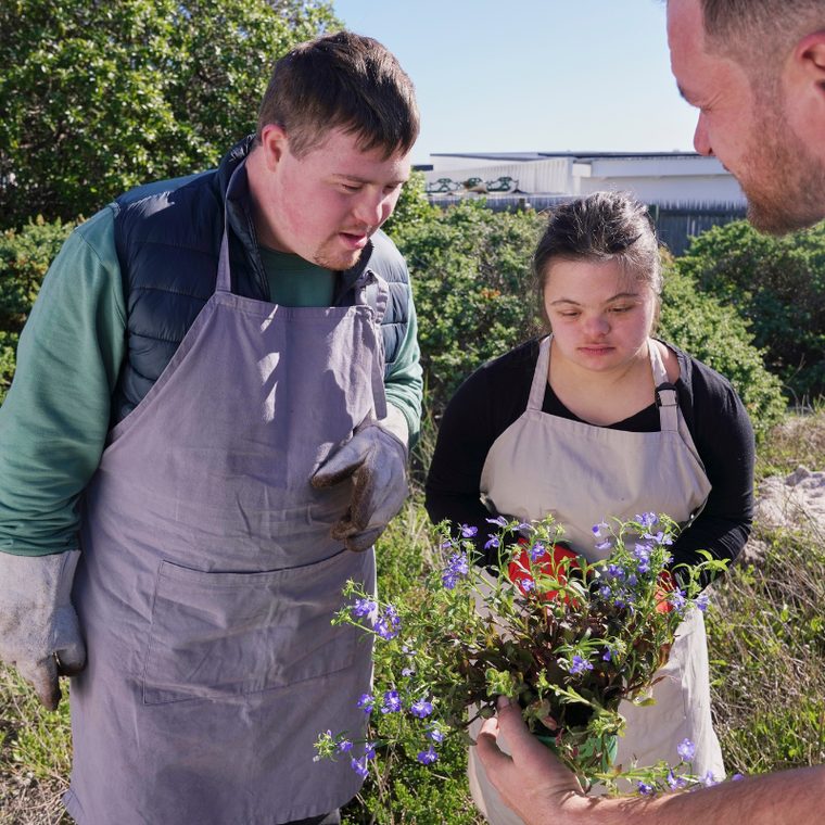 Two people gardening together outdoors, holding a plant and smiling